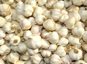 Garlics recipe