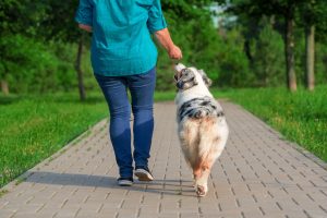 Stepping Into a Healthier Lifestyle