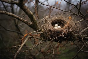 Overcoming Empty Nest Syndrome