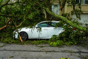 Preparing for a Natural Disaster in New Zealand