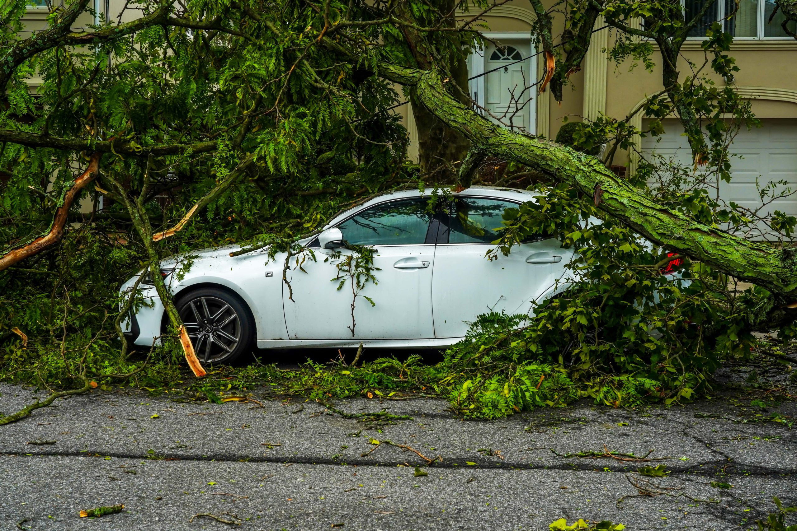 Preparing for a Natural Disaster in New Zealand