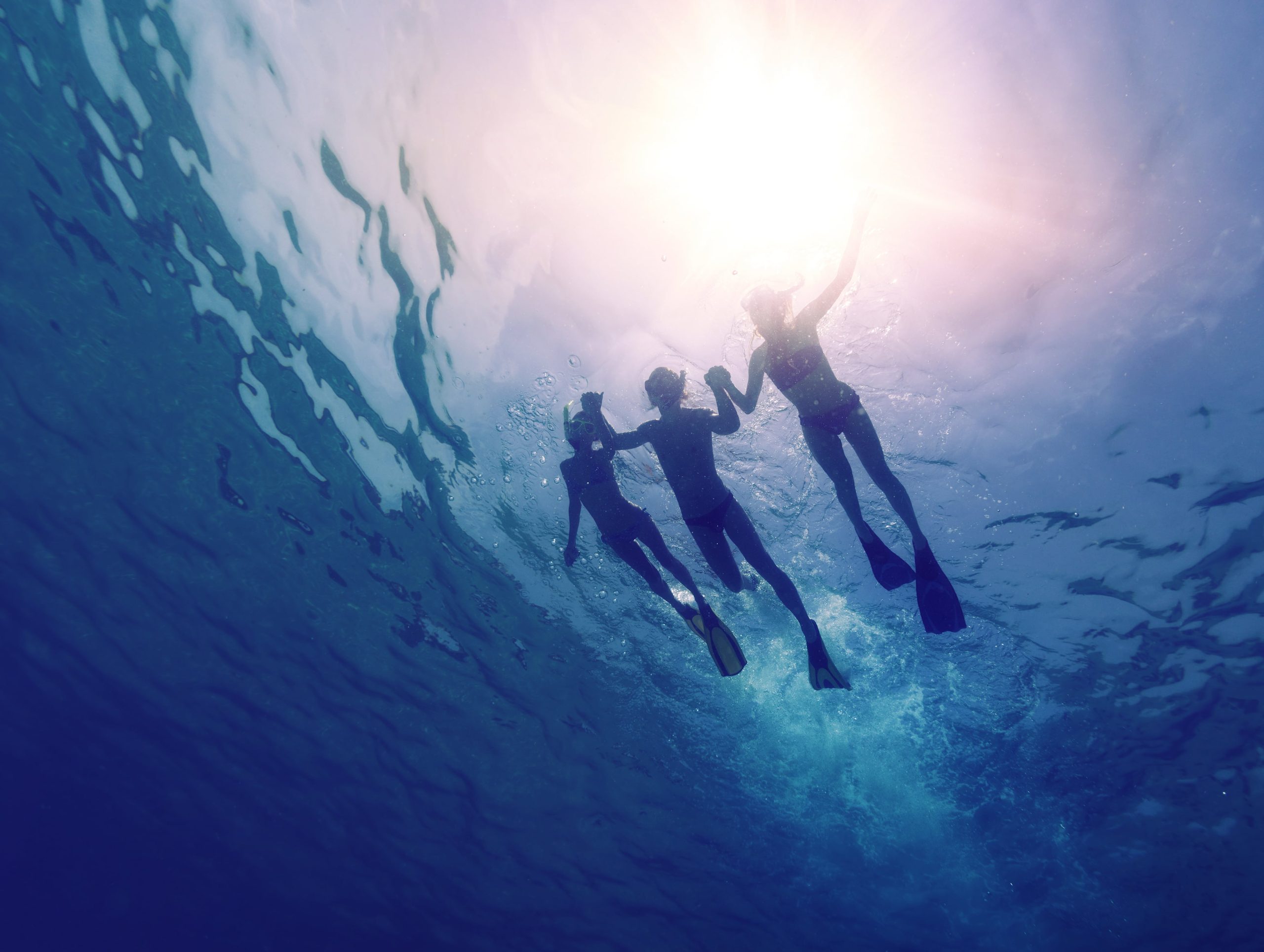 Why Every Adult Should Learn to Swim
